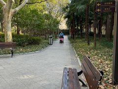 -徐家汇源景区-衡山公园