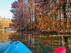 -上海海湾国家森林公园