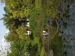 android_upload_pic-红色娘子军纪念园