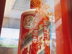 -贵阳龙洞堡国际机场-T2航站楼