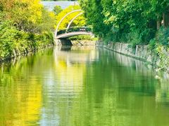 -水杉园
