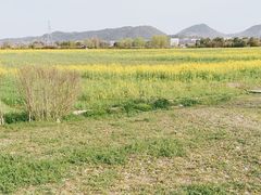 -良渚古城遗址公园