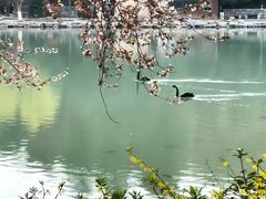 -南京珍珠泉风景区