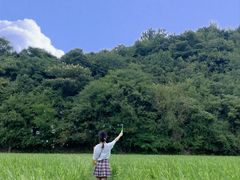 -贵阳市花溪国家城市湿地公园