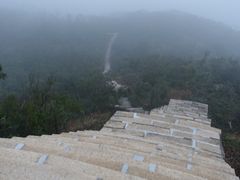 -东澳岛