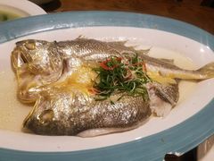 -广东道至正餐厅(区庄店)