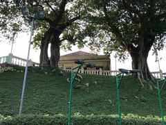 -龙环葡韵住宅式博物馆