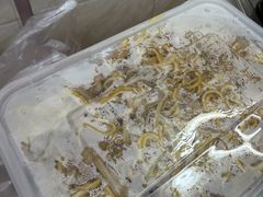 -成醒布拉肠粉专门店(海珠南路店)