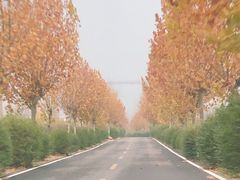 -徂徕山森林康养度假谷温泉