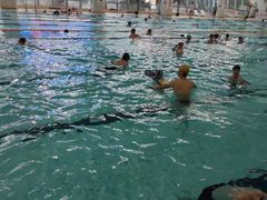 -小海豚国际游泳培训中心(浦东源深体育中心店)