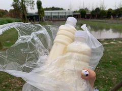 -洪湖家庭农场·团建·露营·会议