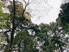 -庐山风景名胜区