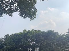 -广州长隆飞鸟乐园