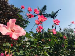 -人民公园(罗湖区)