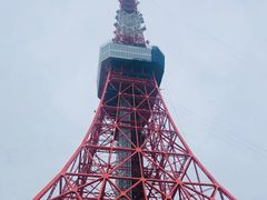 -东京塔海贼王主题公园