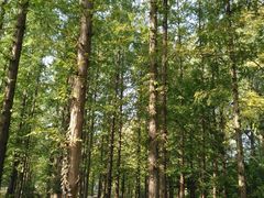 -国家植物园南园