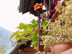 -正宗杨记普洱酸醋米线(总店)