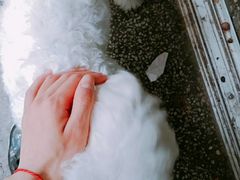-黄浦路(地铁站)