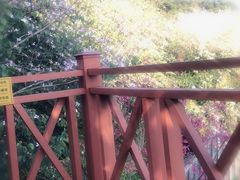 -小南山公园