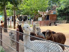 -大连森林动物园