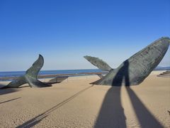 -烟台金沙滩海滨公园