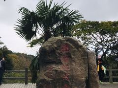 -普陀山风景区-佛顶山
