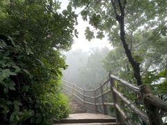-帽儿山风景区