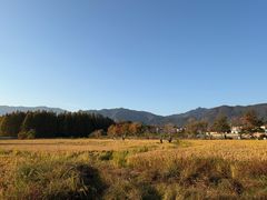 -塔川景区