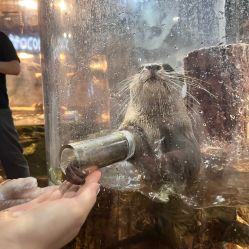 -Zoolung Zoolung动物主题公园(海信广场店)