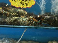 -港畔赶海蒸汽海鲜烧烤自助(仙螺岛店)