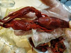 -怪怪龙虾·澳洲蓝龙王·深夜食堂(惊驾路店)