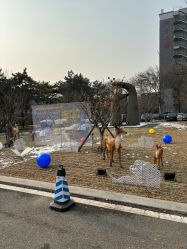 -北京明德医院