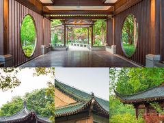 -东湖生态旅游风景区