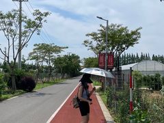 -上海长兴岛郊野公园