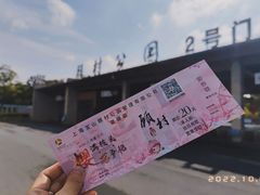 -顾村公园