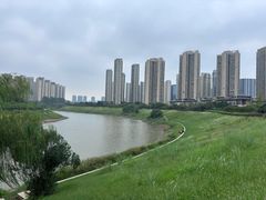 -洋湖国家湿地公园
