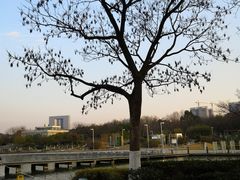 -白塘生态植物园