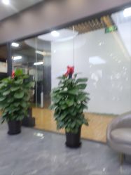 -藤野造型烫染·漂发