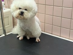 -FAELING PETS美天灵宠物(富力广场店)