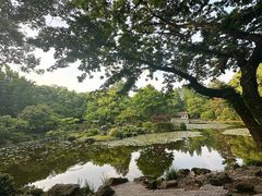 -杭州植物园