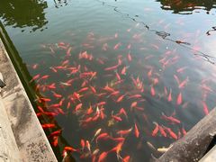 -会龙寺
