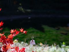 -丹东天桥沟景区