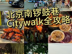 -南锣鼓巷