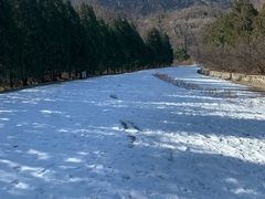 -北京鹫峰国家森林公园