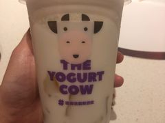 -一只酸奶牛(时代天街A馆店)