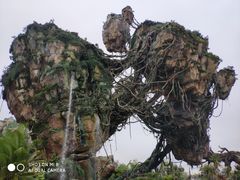 -奥兰多迪士尼动物王国乐园