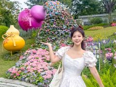-云溪植物园