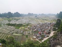 -会仙湿地