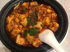 -陈麻婆豆腐总店