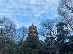 -宝通禅寺